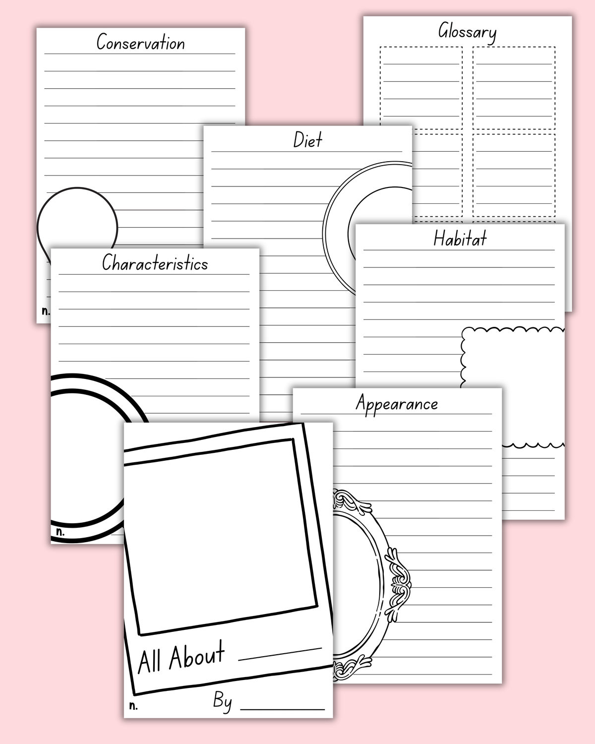 Animal Information Text Booklet