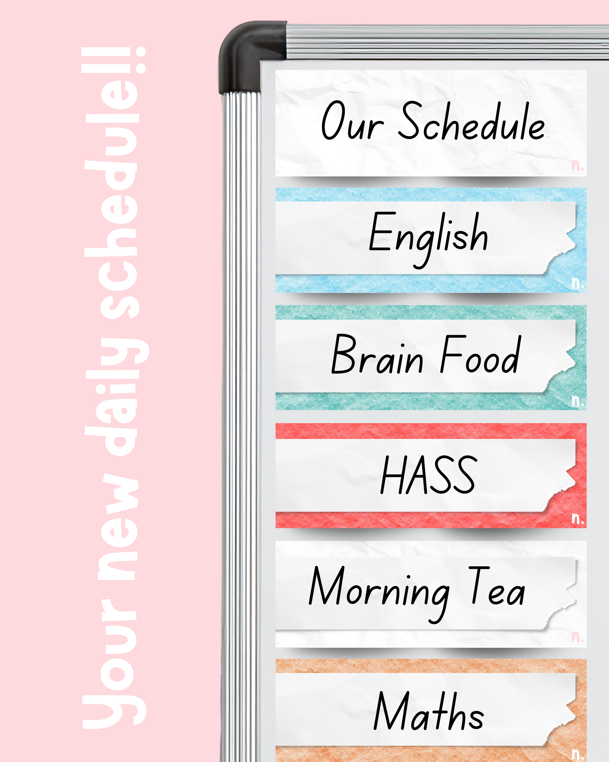 Daily Schedule