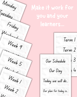 Daily Schedule