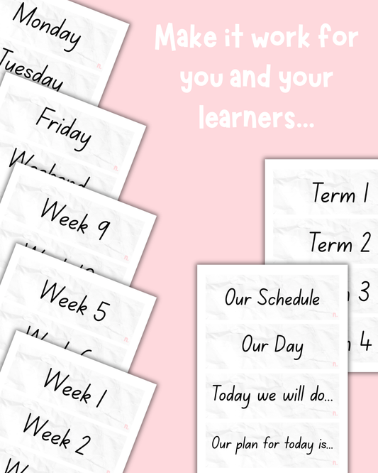 Daily Schedule